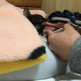 今朝のダディの画像