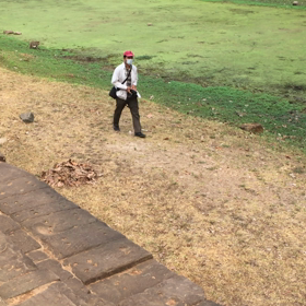 猿の撮影の画像