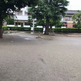 頑張るべぇの画像