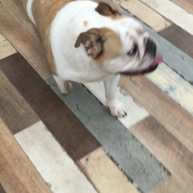 店内散歩♪の画像