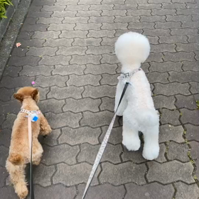 扇風機の出番の画像