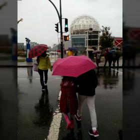人生初の雨漏り体験　in  バンクーバーの画像