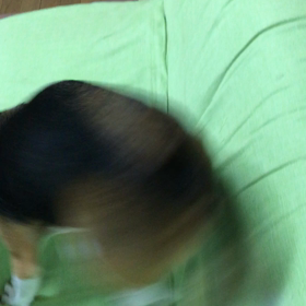 シャンプー後の画像