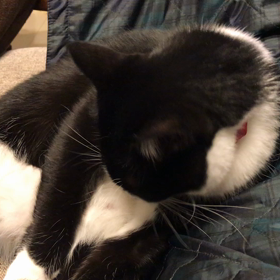 エンドレス。の画像