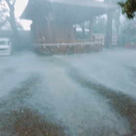 昨日の雷雨の画像