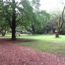 400インターバル中間点②の画像