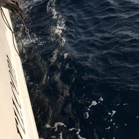 ぶら下がり！の画像