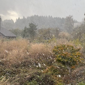 初雪の画像
