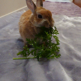 今日も蒸し暑いの画像