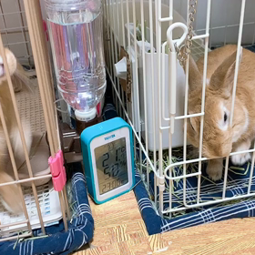 おやつtimeの画像