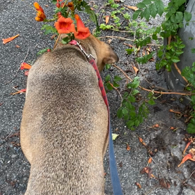 頭と体を動かそう！の画像