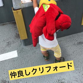 案外いいダイエット方法の画像