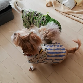 頼もしい兄ちゃんの画像