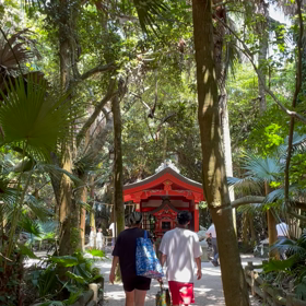 ありがとうおばあちゃんの画像