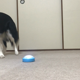 新しい出会いの画像