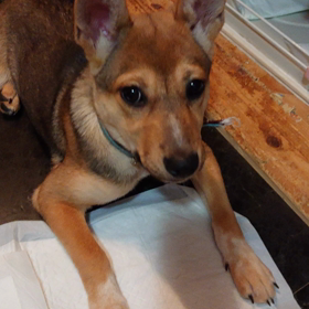 最近の萌～の画像