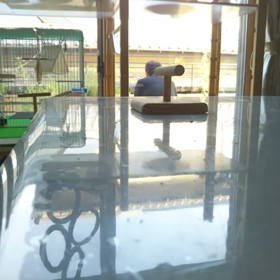 ターゲットトレーニング × ミントの画像