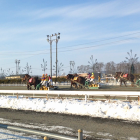ばんえい競馬 動画その②の画像