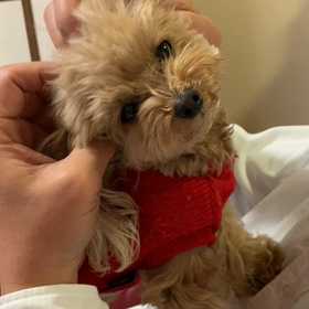 気持ち悪いの画像