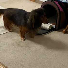 かえってきて無事に消防点検終了ー！の画像