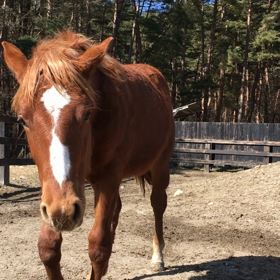 只今渋滞中の画像