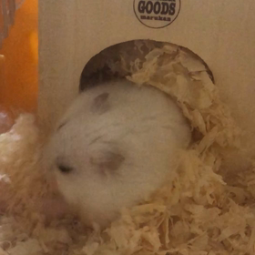 起きた！の画像