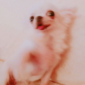 最近ハマってるtiktok♡の画像