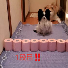 トイレットペーパーチャレンジ☆の画像