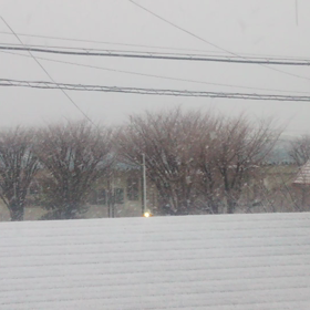 荒れてますの画像