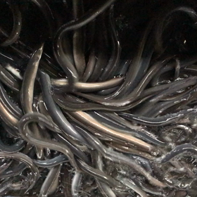 鰻が餌を食べ始めたよの画像