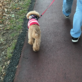 モンローウォークの画像