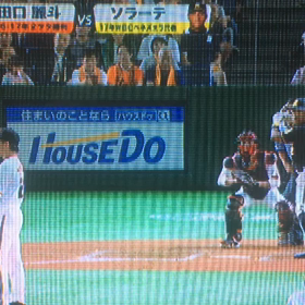 ヤンガービス・ソラーテの画像