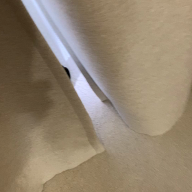 今朝のピョン☆の画像