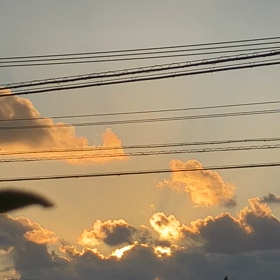 朝陽と鳥のさえずりの画像