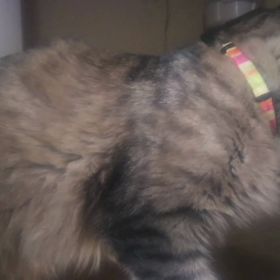 目覚めても、まだ夜だったときの絶望。の画像