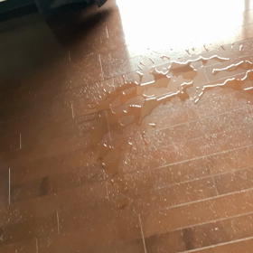 必殺技、電動モップ‼️の画像