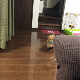 ☆朝から激しっ☆の画像