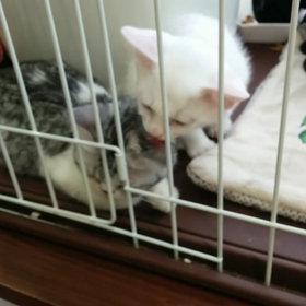 そろそろ。。の画像