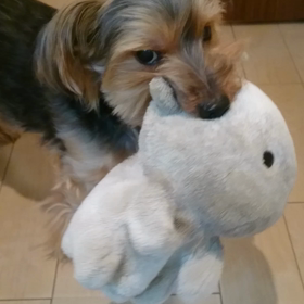 キャー可愛い❤️の画像