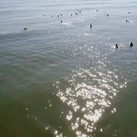 ドローン撮影の画像