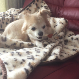 今日のBetty （Movie）の画像