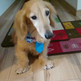 あれまーU(≡^∇^≡)Uの画像