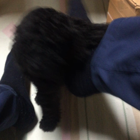 増員！？の画像