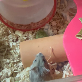 今日もお疲れ様でした☺️の画像