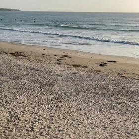 今日は動画の画像