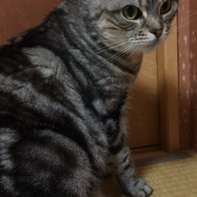 １週間終わり♪の画像