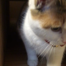 楽しい遊びの画像