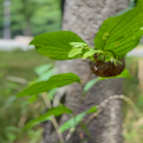 別に不幸せなワケでは無い件wの画像