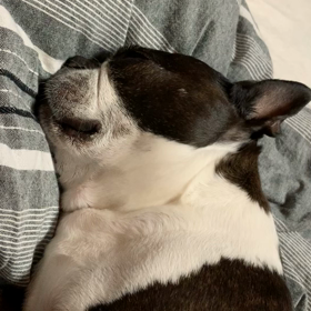 睡眠妨害とジェンヌの素顔の画像