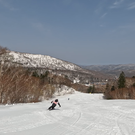 コブ選手権の画像